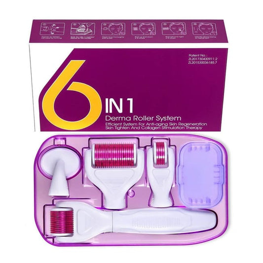 DRS 6 in 1  Derma Roller System